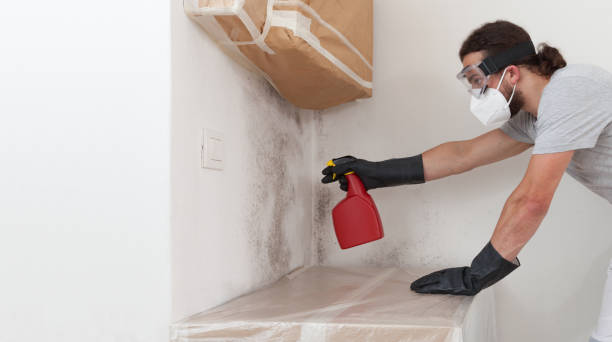 Attic Mold Remediation treatment on roof deck in Washington
